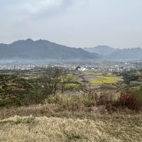 評論圖片 2