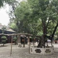 評論圖片 1