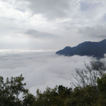 評論圖片 7