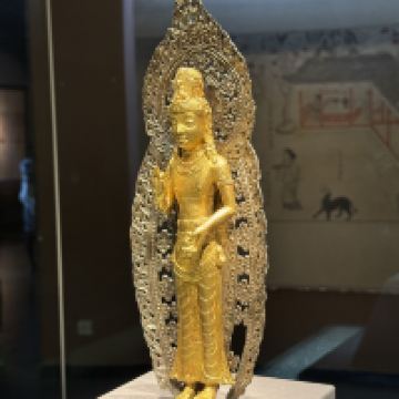 評論圖片 7