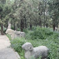 評論圖片 7