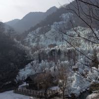 評論圖片 5