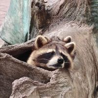 評論圖片 4