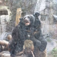 評論圖片 2