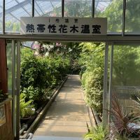 評論圖片 2