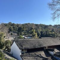 評論圖片 7