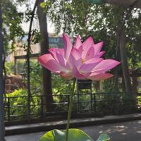 評論圖片 6