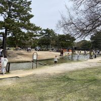 評論圖片 8