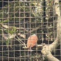 評論圖片 6