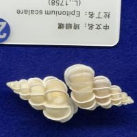 評論圖片 2