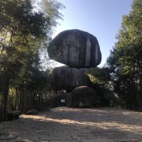 評論圖片 5