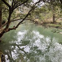 評論圖片 2