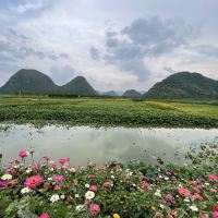 評論圖片 6