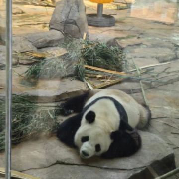 評論圖片 6