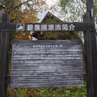 評論圖片 6