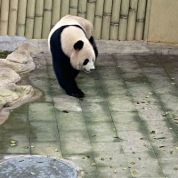 評論圖片 5