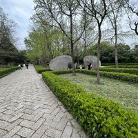 評論圖片 6