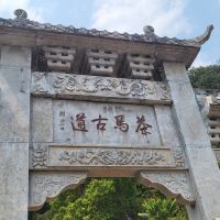 評論圖片 8