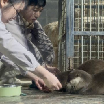 評論圖片 5