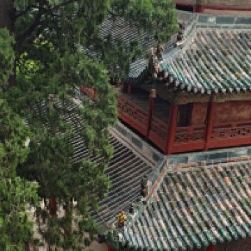 評論圖片 3