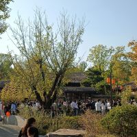 評論圖片 8