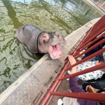評論圖片 8