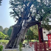 評論圖片 2