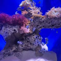 評論圖片 2