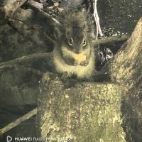 評論圖片 3
