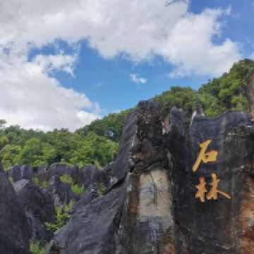 評論圖片 6