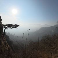 評論圖片 3