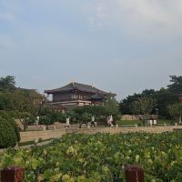 評論圖片 5
