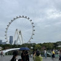 評論圖片 2
