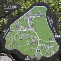 評論圖片 5
