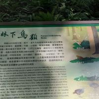評論圖片 9