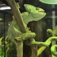評論圖片 7