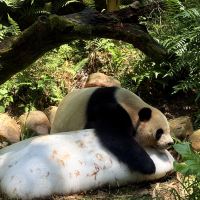 評論圖片 7
