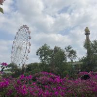 評論圖片 3