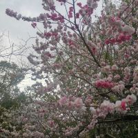 評論圖片 2