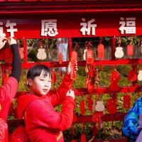 評論圖片 9