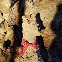 評論圖片 6