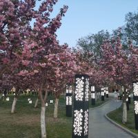評論圖片 4