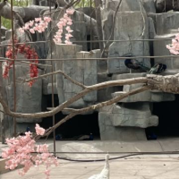 評論圖片 3