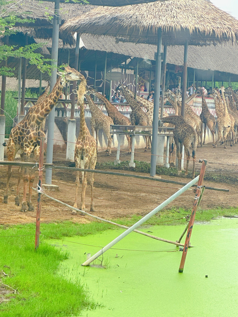 曼谷野生動物世界用戶評價