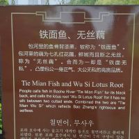 評論圖片 2