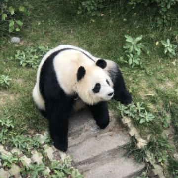 評論圖片 5
