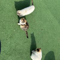 評論圖片 5