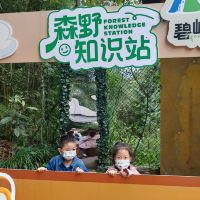 評論圖片 2