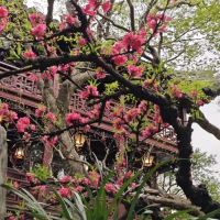 評論圖片 4