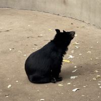 評論圖片 7